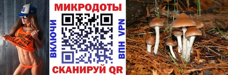 Купить где  Мирный  Галлюциногенные грибы мицелий 